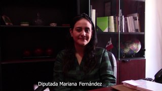 Diputada Mariana  Fernández PRI-Jalisco (México) Vuelve el PRI y vuelve para quedarse.