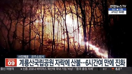 공주 계룡산국립공원 자락에 산불…6시간여 만에 진화