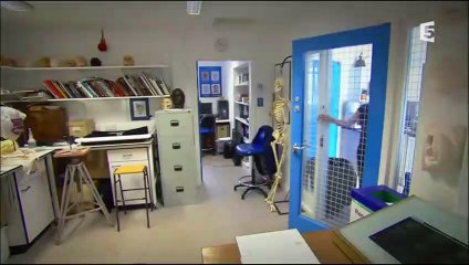 Les Secrets de L' Egypte Antique - La Momie Hurlante - Documentaire