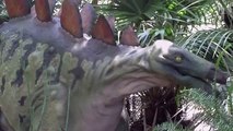 Free Stock Footage Spiky Dinosaur