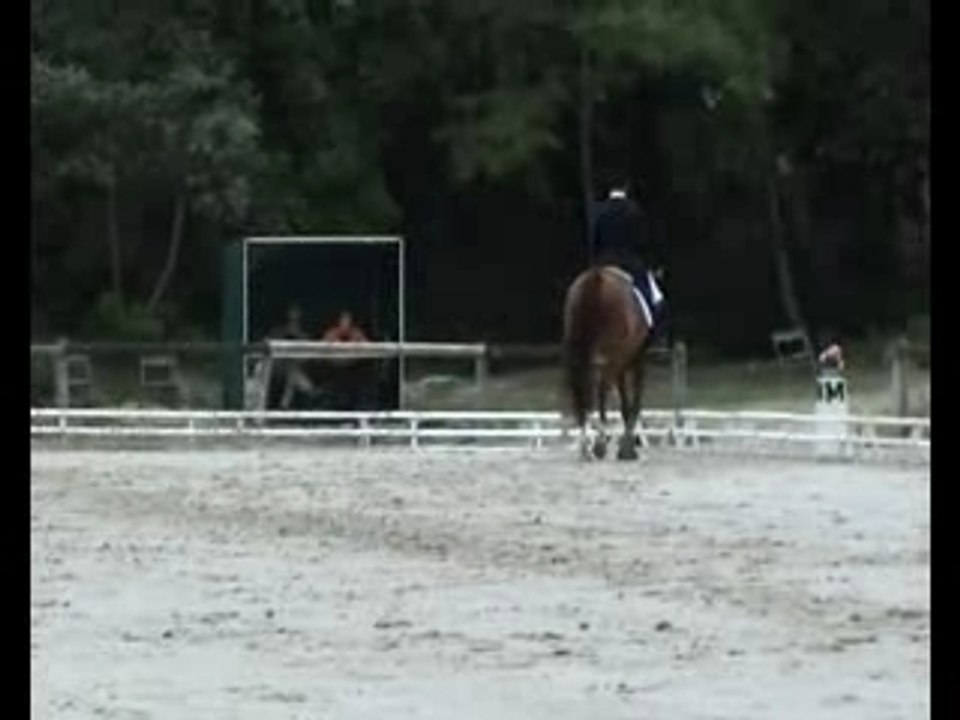 Grand Prix dressage Marco et Jean Francois Lagarde