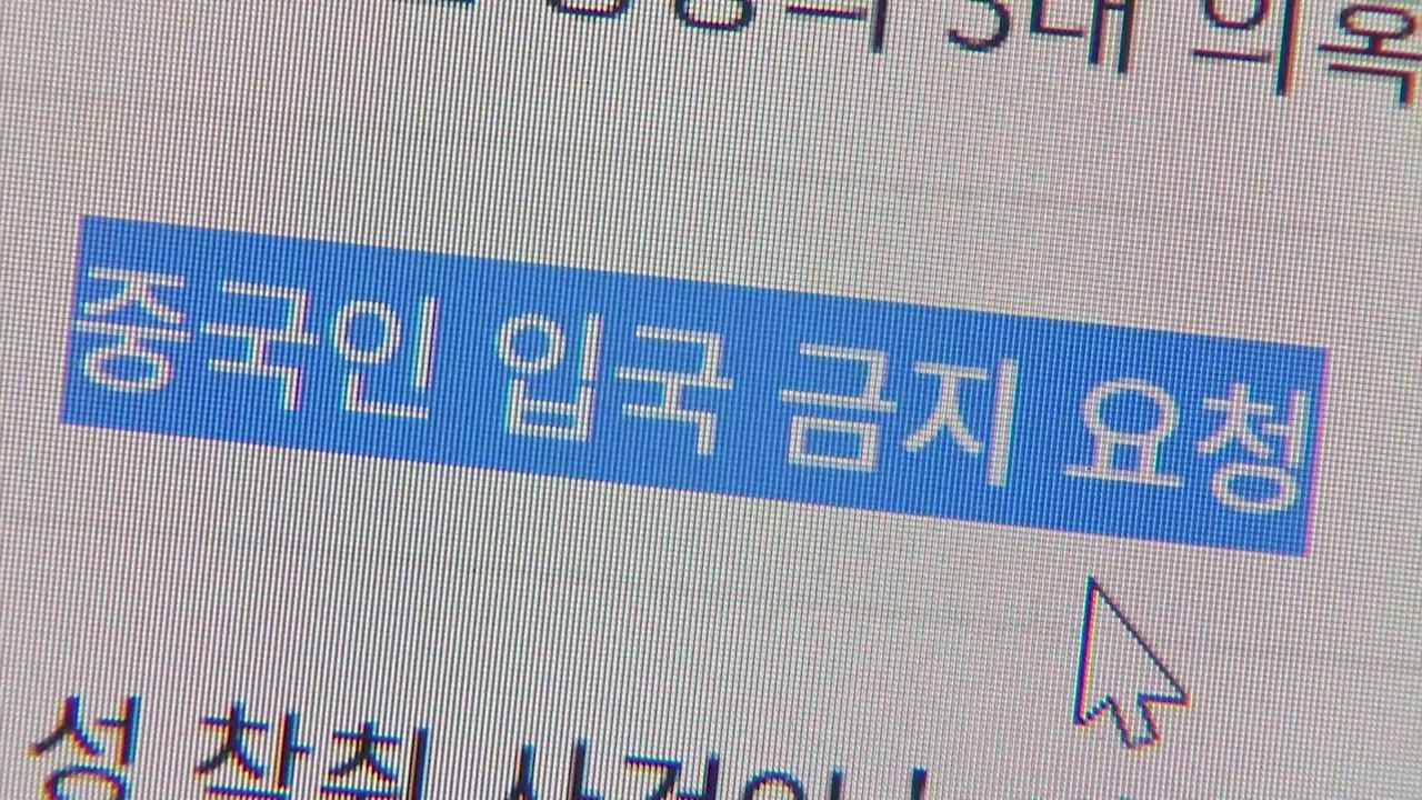 '중국인 입국 금지' 靑 국민청원 40만 명 넘어서 / YTN