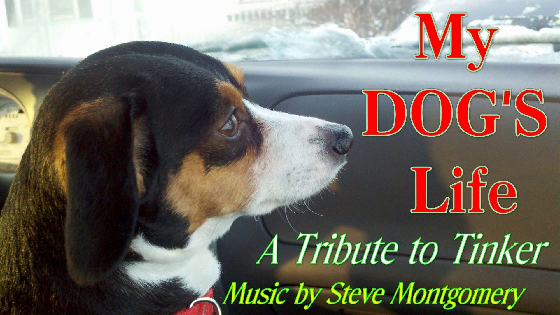 MY DOG'S LIFE - music by Steve Montgomery (A Tribute to my Dog Tinker)