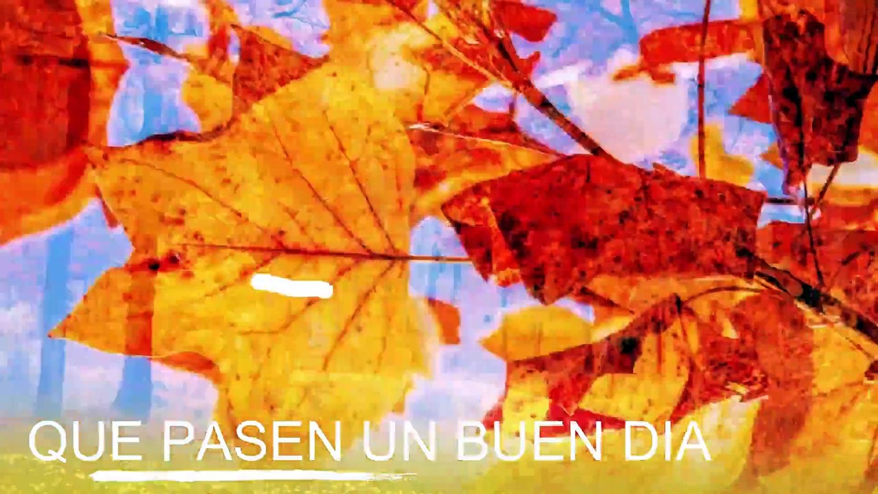 Conoce El Tiempo de Hoy Lunes 27 de Enero de 2020
