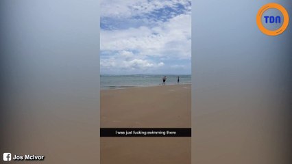 Des nageurs rencontrent un immense requin dans un fleuve d’Australie