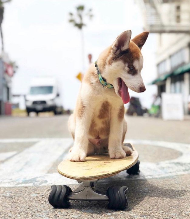 Das Rad wurde neu erfunden – eckig!