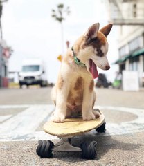 Das Rad wurde neu erfunden – eckig!