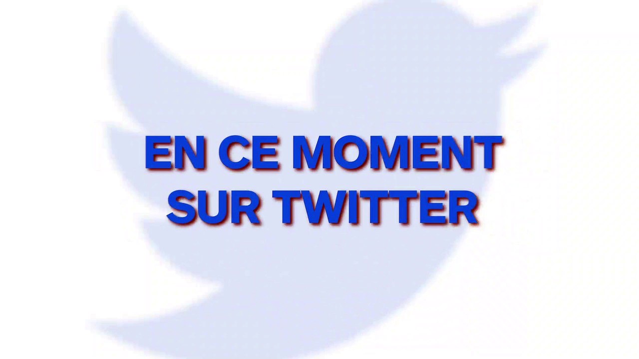 Une activiste de la défense des droits des animaux rentre dans une colère noire et agresse des aveugles qui ont des chiens d'assistance