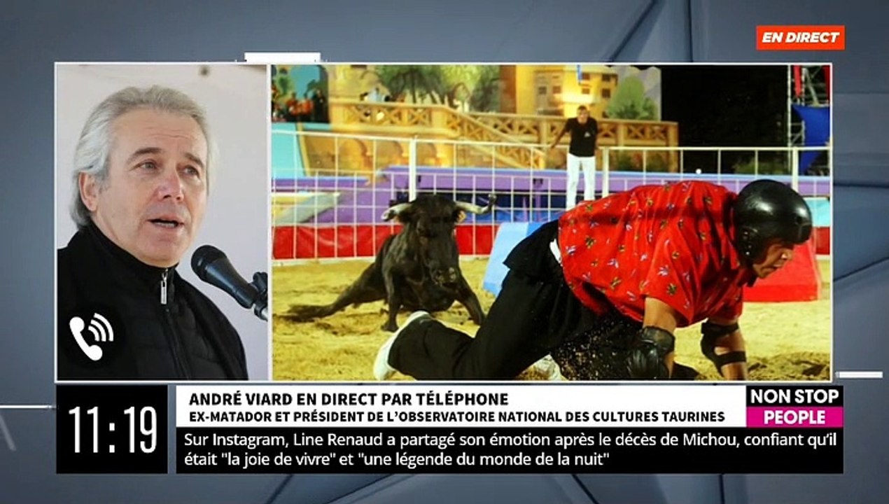 Fin des vachettes dans Intervilles: Le président de l'Observatoire National des Cultures Taurines annonce qu’il va saisir le CSA - VIDEO