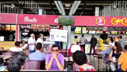 Rocco volvio a casa- asi recuperaron al perrito robado en un parque del sur de Cali