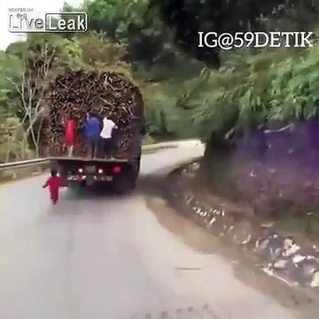 Ces gamins volent de la canne à sucre sur un camion qui roule... mieux que le marchand de glace
