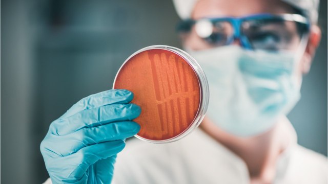 FDA To Purell: Stop Claiming Hand Sanitizer Can Protect Users From Ebola, MRSA