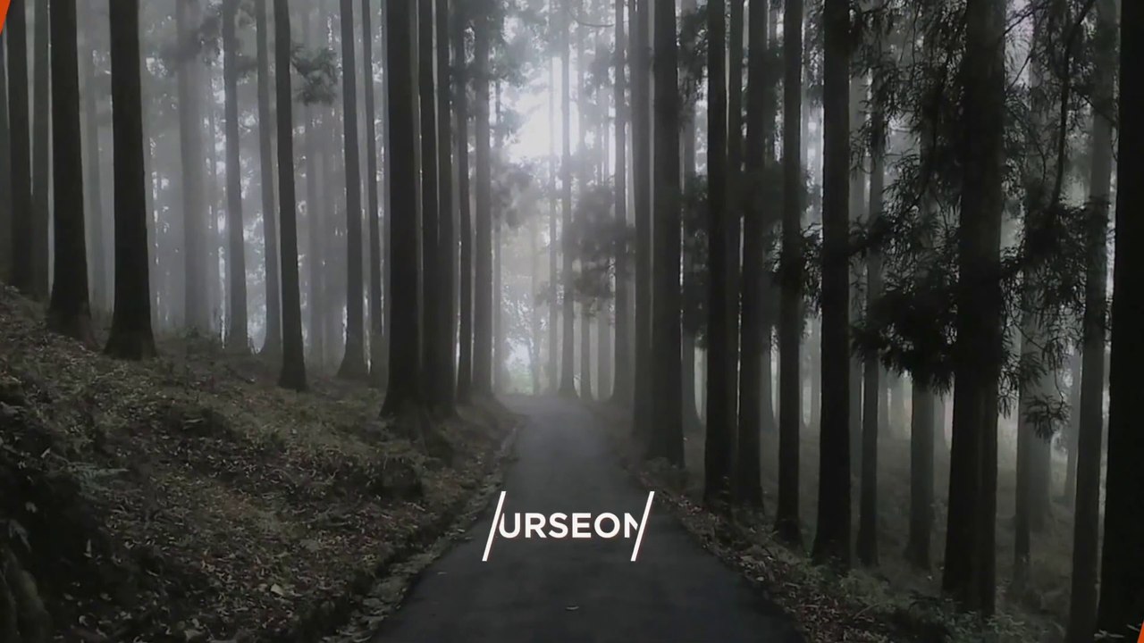 "KURSEONG" Top 11 Tourist Places | Kurseong Tourism | WEST BENGAL | INDIA