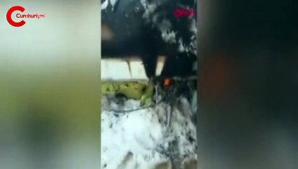 Afganistan'da uçak düştü