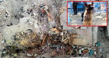 Elazığ depreminde Dilek Apartmanı'nda 5 kişiye arama köpeği Altar sayesinde ulaşıldı