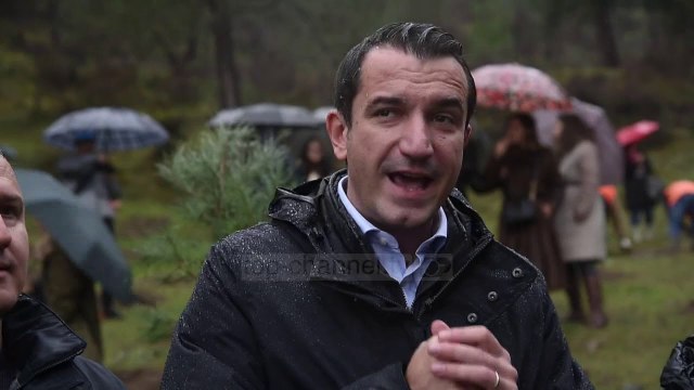 97-vjetori i Shërbimit Pyjor Shqiptar, vullnetarë i bashkohen aksionit për mbjelljen e 1000 pemëve