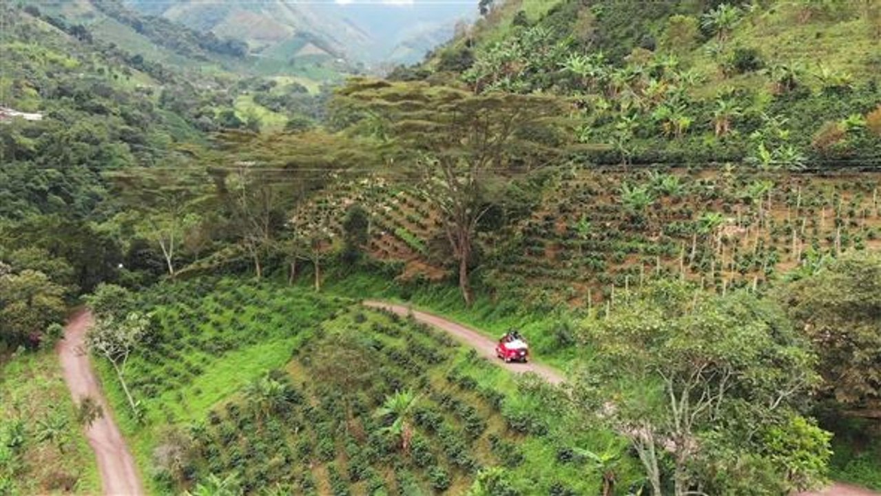 Ökotourismus in kolumbien