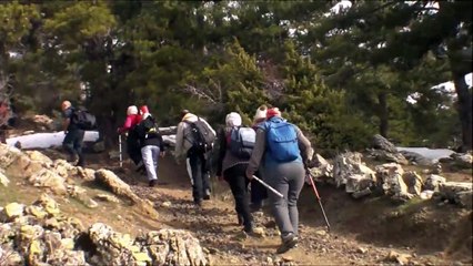 Beşpınar Spil Parkuru _ D