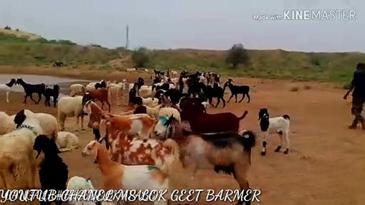 सावड़ खान दबड़ी सिन्धी गीत || sawan khan magniy...