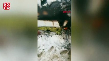 Скачать видео: Afganistan’da düşen uçakla ilgili ABD ve Taliban’dan açıklama