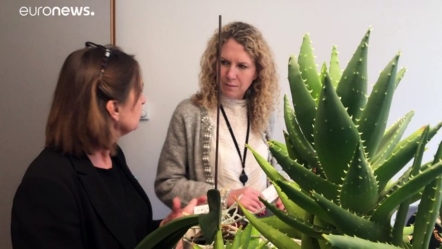 Вкратце из Брюсселя : последняя неделя для британских евродепутатов и призыв Германии к Совбезу ООН