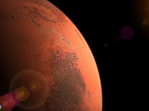 La NASA quiere construir casas con hongos en la Luna y Marte