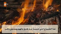 الإعلان الثاني للحلقة الثامنة من مسلسل المؤسس عثمان