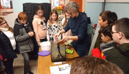 "Saumons en classe" à l'école communale de Saint-Séverin