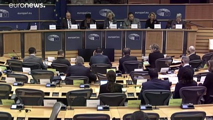 "Es realmente triste". Así se despide la eurodiputada británica Judith Bunting