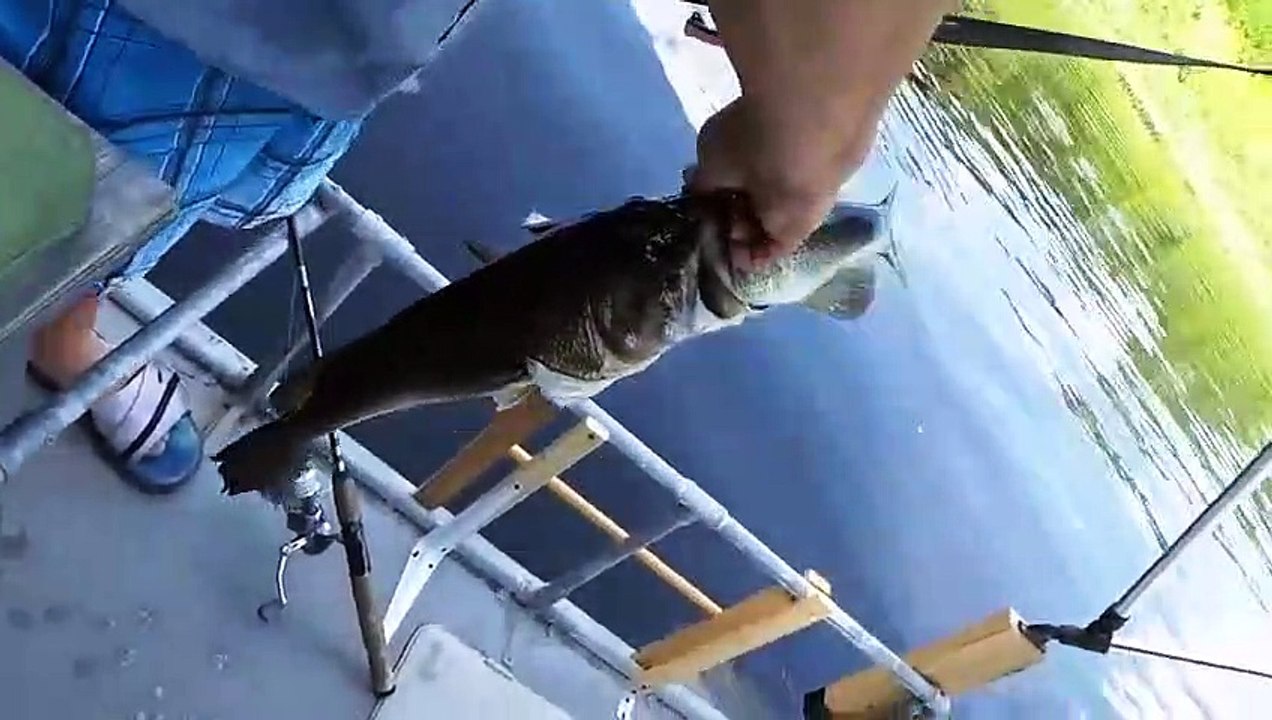 2 poissons en un... ce pêcheur fait une prise incroyable