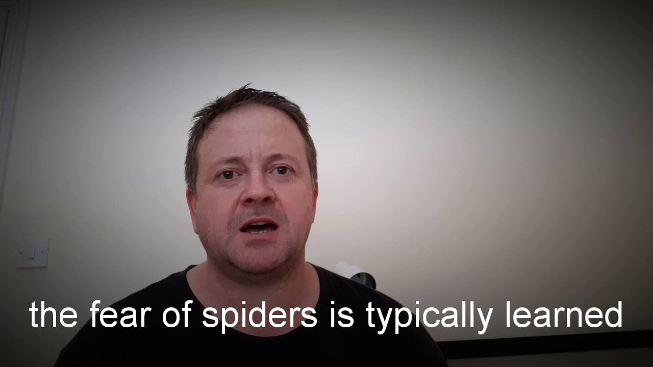 Hypnotherapy arachnophobia London, spider phobia, fear of spiders, W1, Westminster, Mayfair, central London