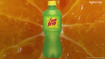 Sun Drop Is a Citrus Drink With Southern Roots