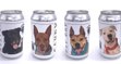 This Florida Brewery Is Shining a Light on Shelter Dogs—by Putting Them on Beer Cans