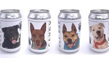 This Florida Brewery Is Shining a Light on Shelter Dogs—by Putting Them on Beer Cans