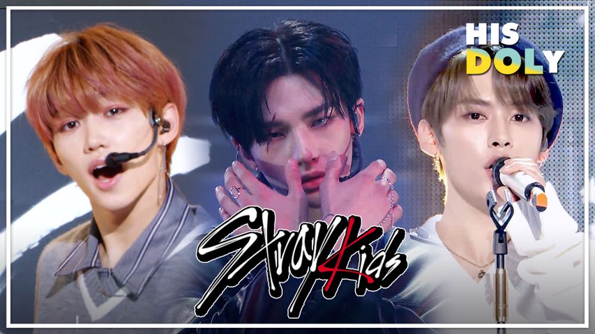 Stray Kids Special ★Since 'District 9' to 'Laventer'★ (48m Stage Compilation)