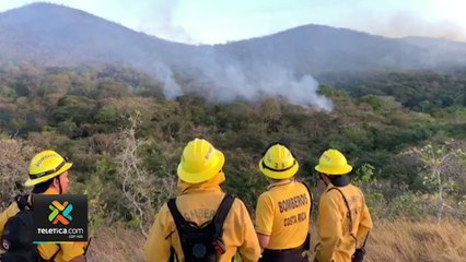 tn7-incendio-forestal-cerro-pelon-270120