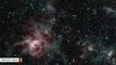 Space Telescope Captures Haunting View Of Tarantula Nebula