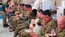 Viral Image Shows Australian Soldiers Feeding Koalas Impacted By Fires