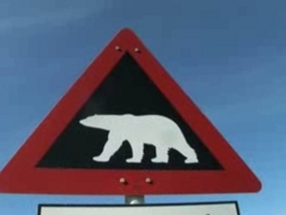 Wolk im Eis - Folge 1