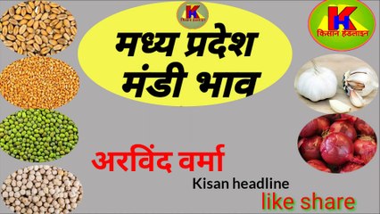 जाने आज के मध्य प्रदेश की 4 बड़ी मंडियों का भाव मंदसौर नीमच रतलाम इंदौर
