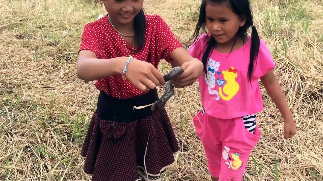 Amazing catches snake In Battambang - How To Catches snakes in Cambodia Traditional