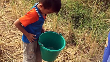 Amazing catches snake In Battambang - How To Catches snakes in Cambodia Traditional