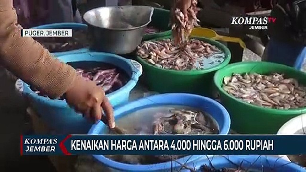 Cuaca Buruk, Harga Ikan Laut Naik
