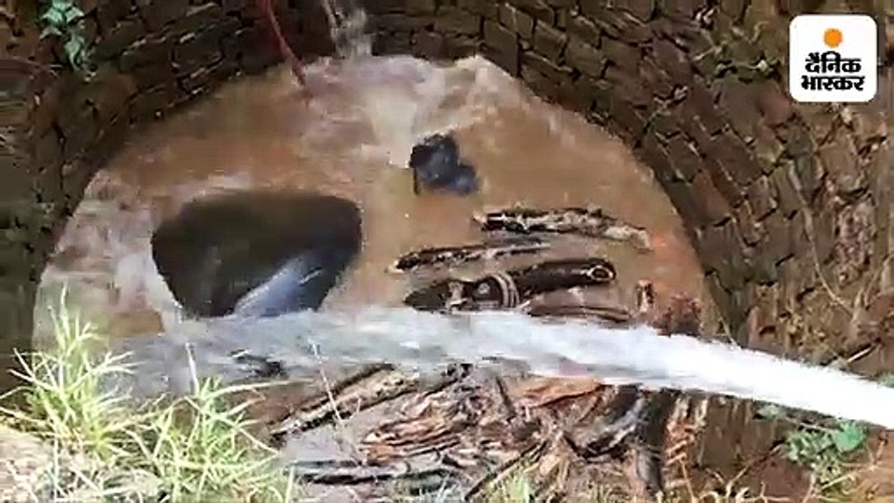 कुएं में गिरा हाथी का बच्चा, रेस्क्यू कर निकाला गया बाहर