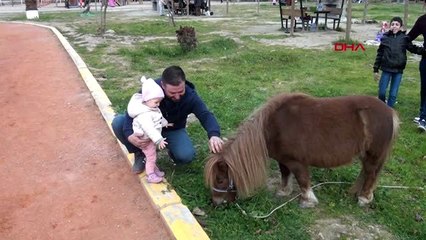 Aydın öğrencilerin sömestir tatilinde pony park keyfi
