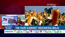100 Hari Kerja Kabinet indonesia Maju, Apa Saja \