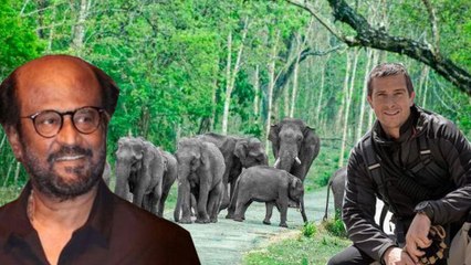 MAN VS WILD RAJINI :ಮ್ಯಾನ್ vs ವೈಲ್ಡ್ ಕಾರ್ಯಕ್ರಮದಲ್ಲಿ ರಜಿನಿಕಾಂತ್  | RAJNIKANTH | ONEINDIA KANNADA