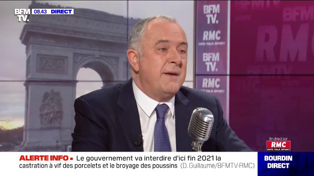Didier Guillaume veut interdire les achats d'impulsions d’animaux de compagnie sur internet