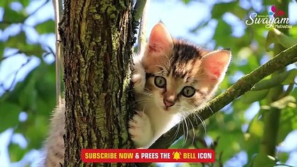 (डर) dar _ motivation story _ motivational video _(480P)