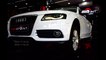 Audi A4 poly coating/igl coatings/polymer coating